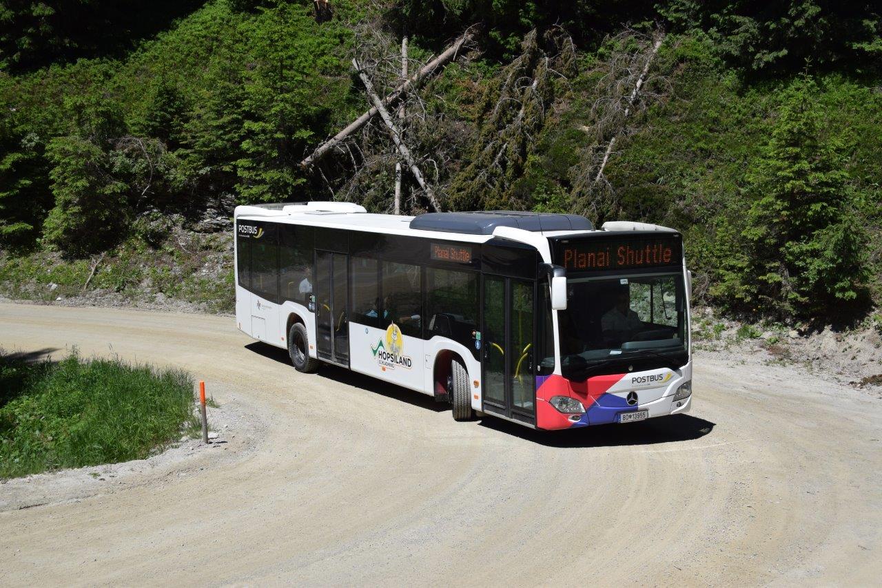 BD 13955