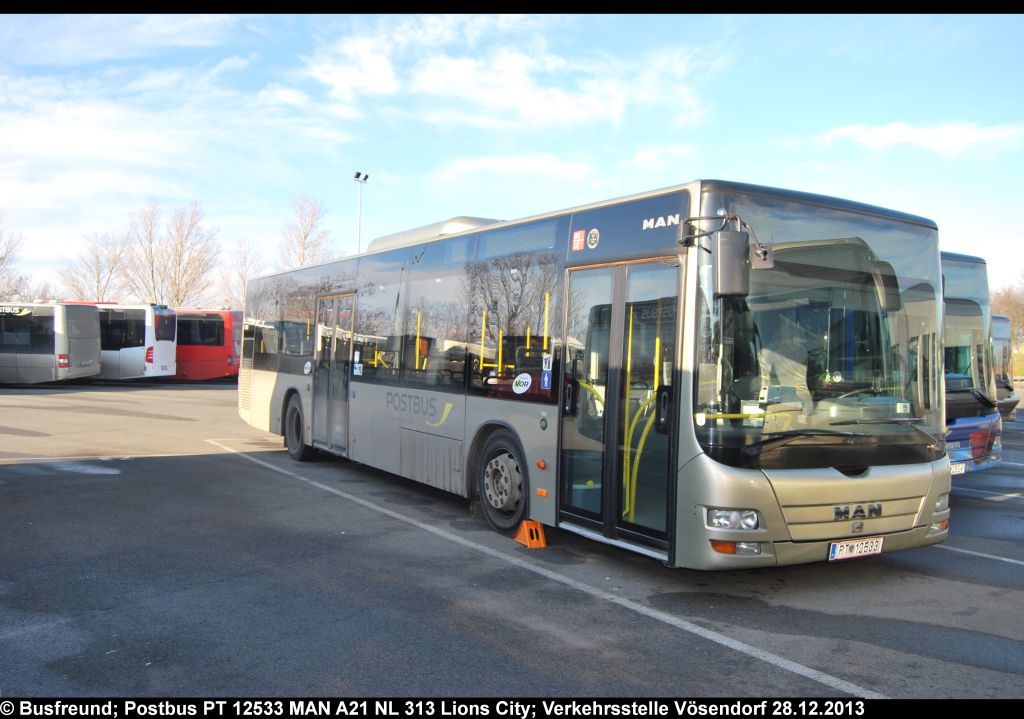 PT 12533