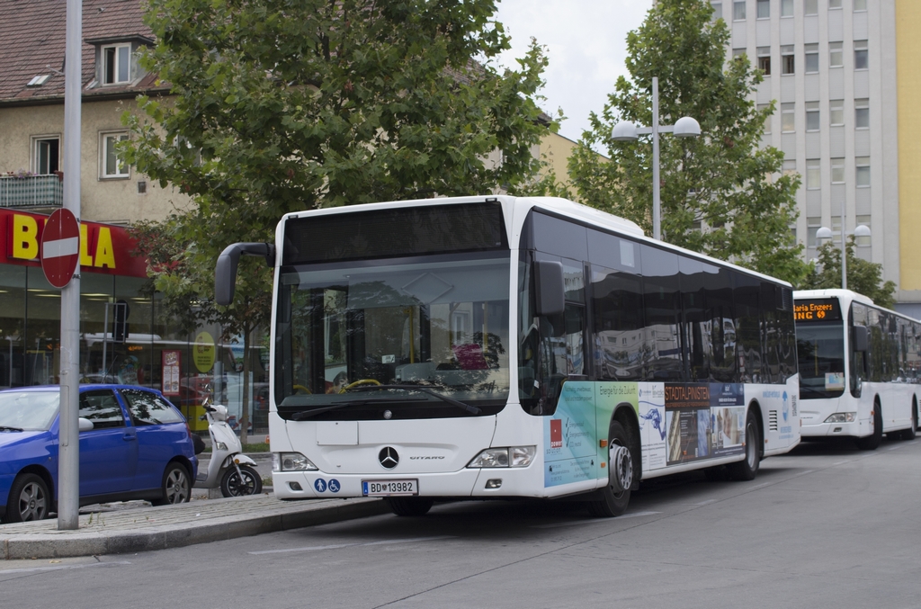BD 13982
