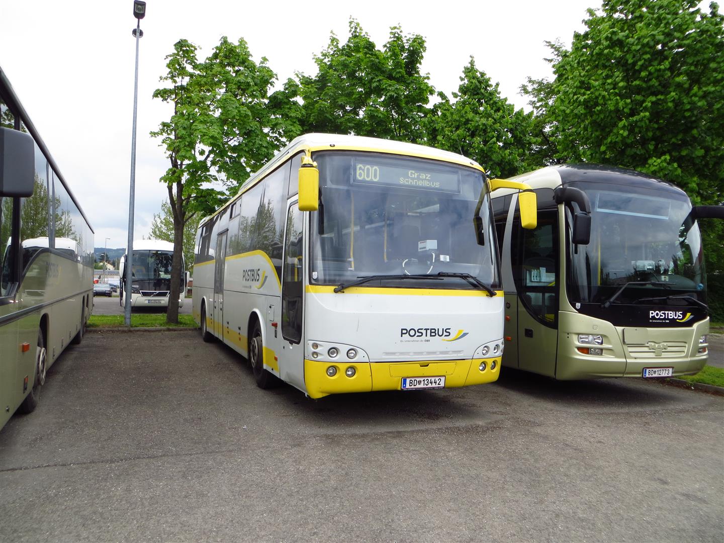 BD 13442