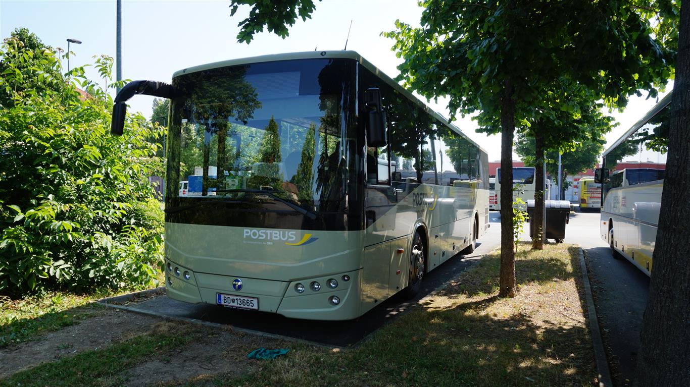 BD 13665