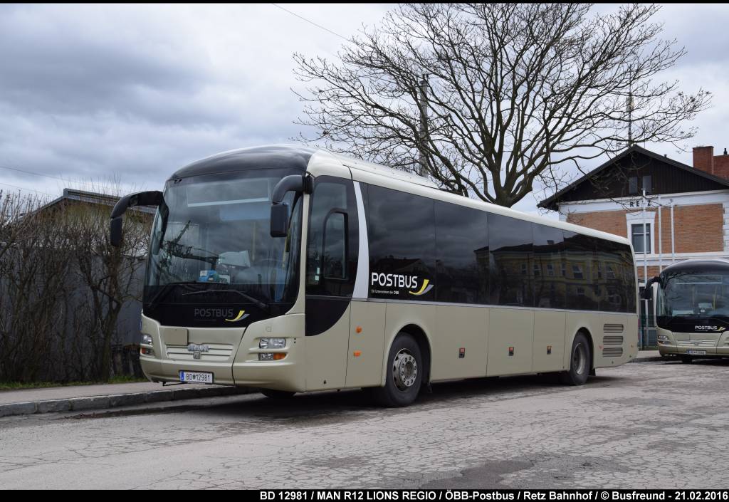 BD 12981