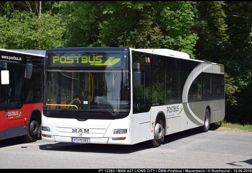 PT 12383