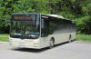 BD 13806