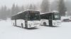 BD 15088 und BD 15089 Stoderzinken BD 15088 und BD 15089 Stoderzinken