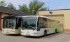 BN 631ED