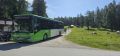 BD 15081