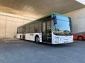 BD 15336